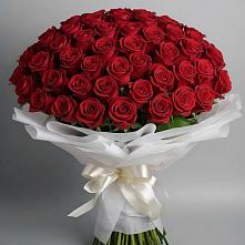 Букет 101 Красная роза Блэк Мэджик #REPLACE_PRED# Васильчиново