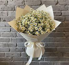 Букет цветов из:  Ромашки #REPLACE_PRED# Васильчиново