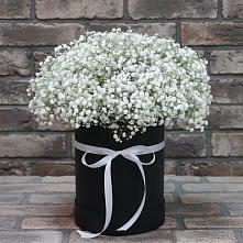 Цветочная композиция из Гипсофила в шляпной коробке в Васильчиново