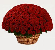 Премиум букет из: Розы в Васильчиново